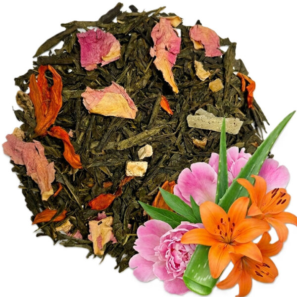SENCHA BIRD OF PARADISE